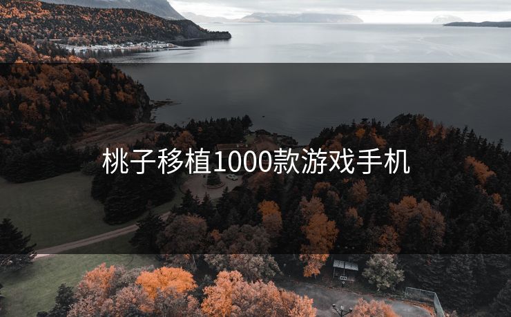 桃子移植1000款游戏手机