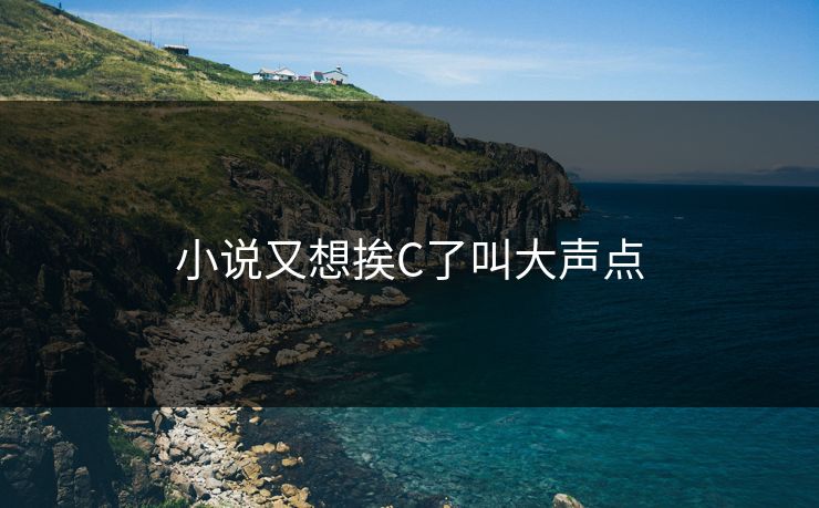 小说又想挨C了叫大声点
